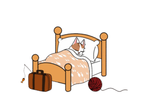 conditions générales de séjour hôtel pour chats