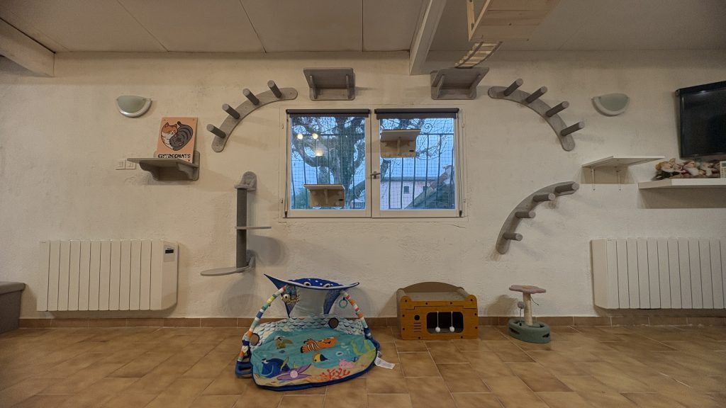hôtel pour chats Entrechats