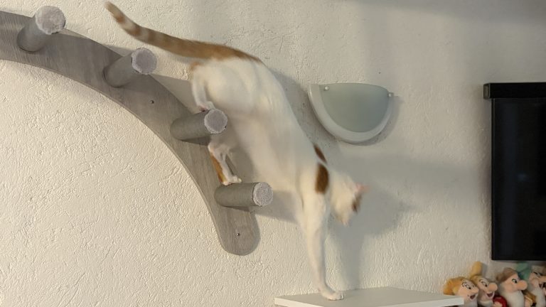 exploration