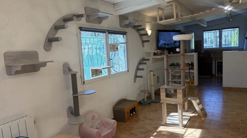 Hôtel pour chats & Pension féline à contes