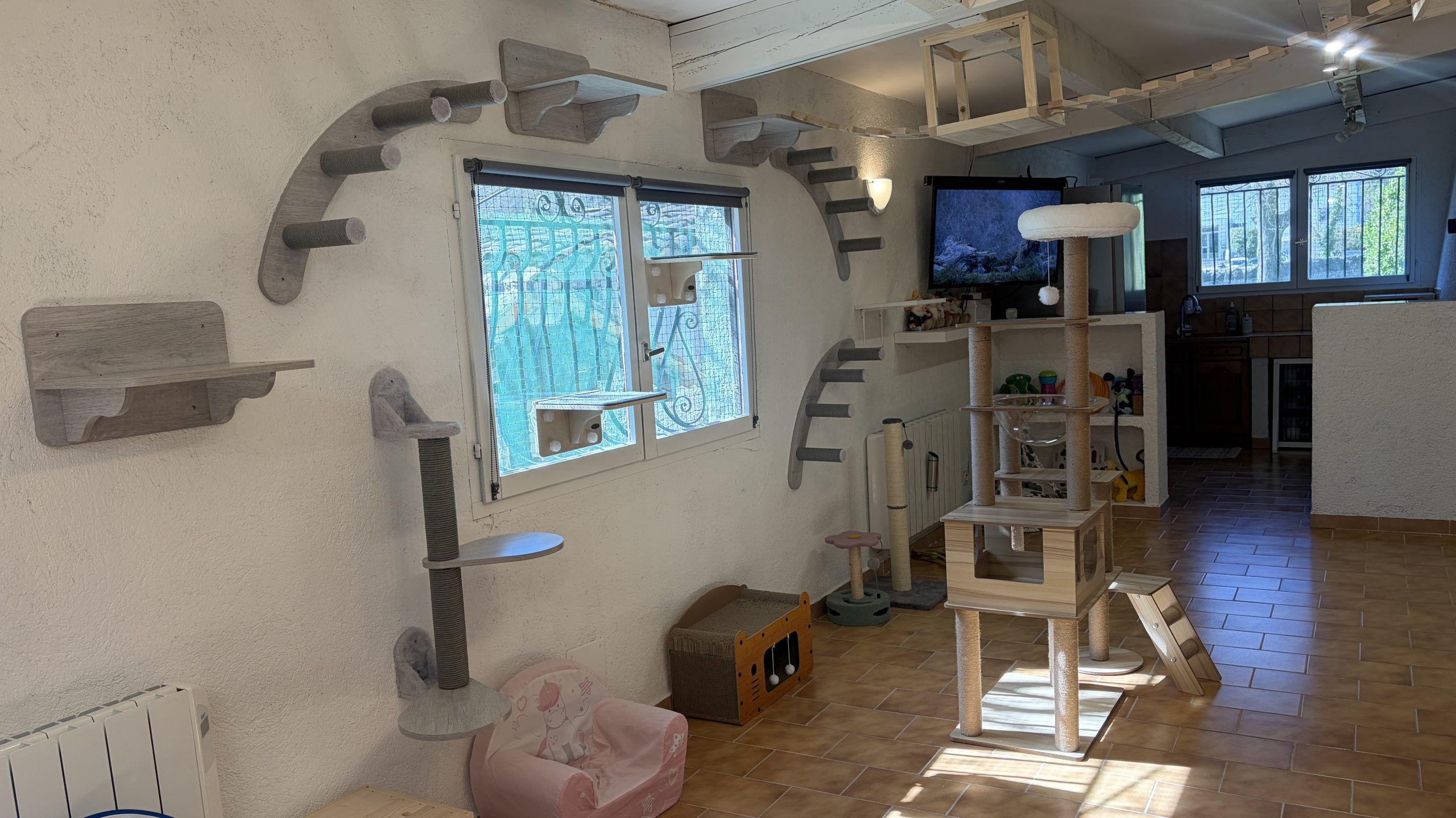 Hôtel pour chats & Pension féline à contes